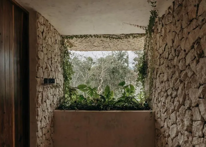 Casa Zebrina Designer *