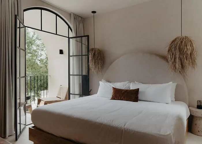 Casa Zebrina Designer